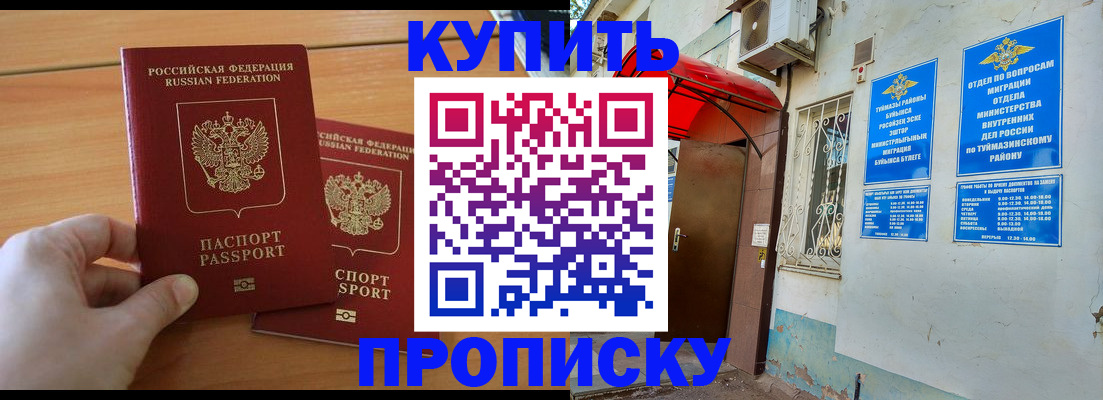прописка штамп в Гвардейске
